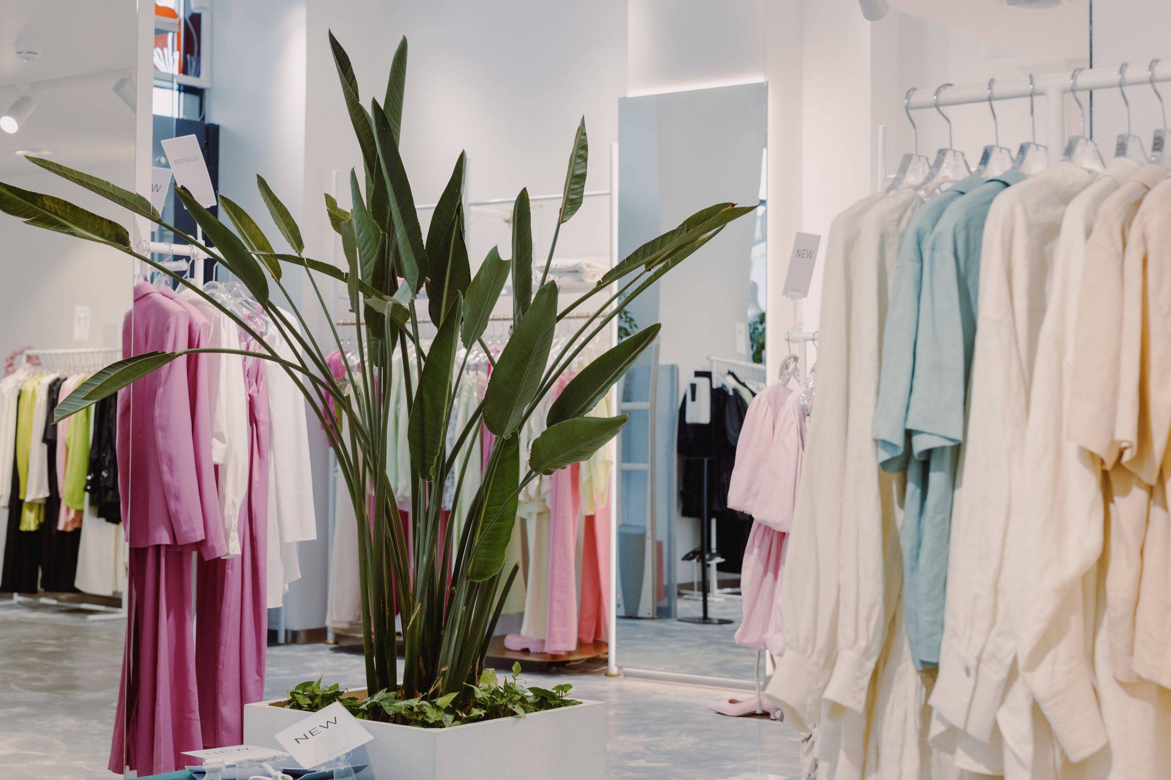 A bright boutique with linen and pastel clothing on rails around a large potted plant