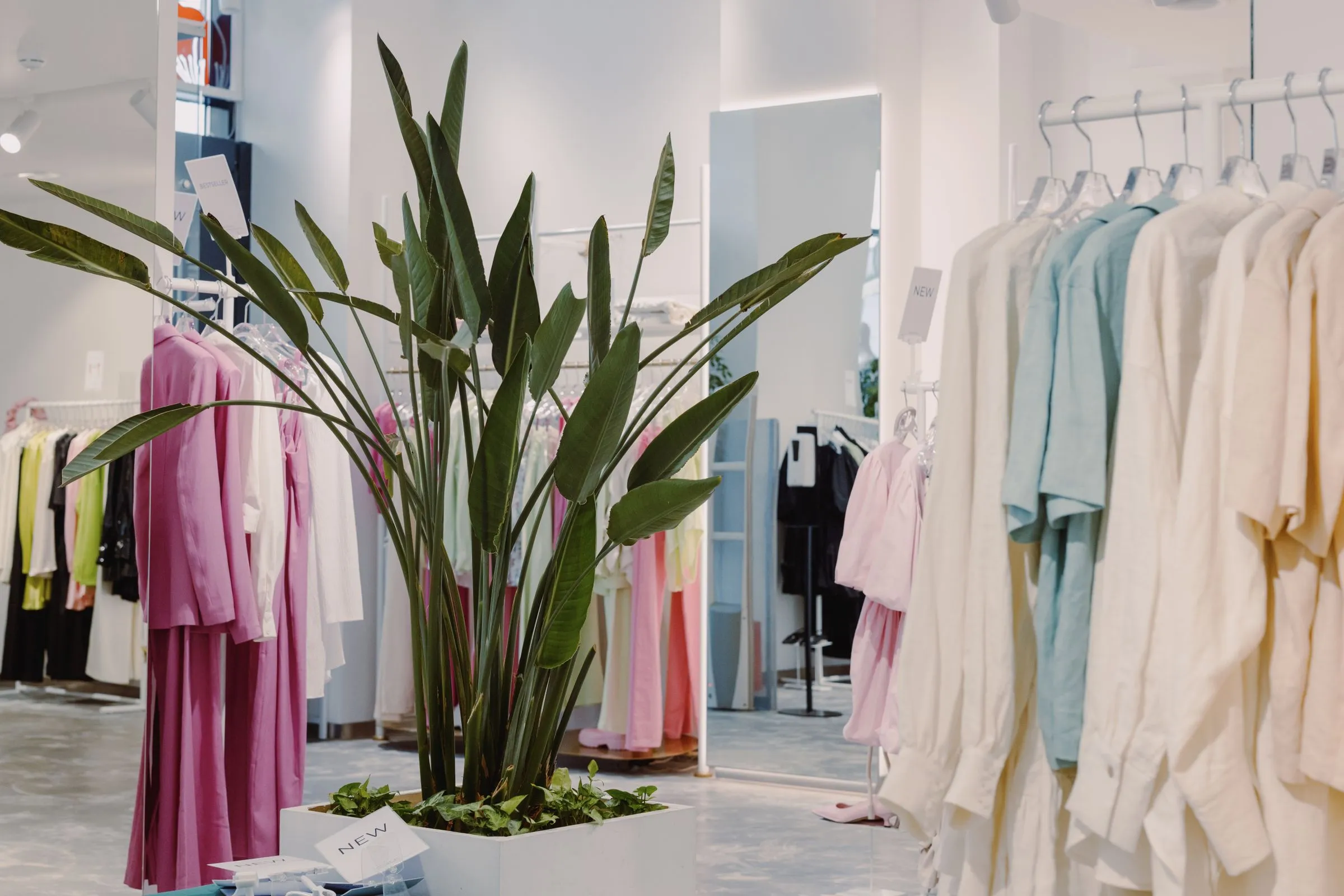 A bright boutique with linen and pastel clothing on rails around a large potted plant